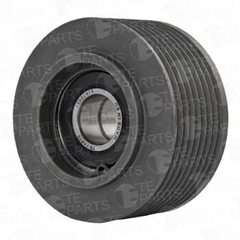 7 799 р. Ролик натяжной КАМАЗ-ЕВРО-5 TE PARTS (ОАО КАМАЗ) TE PARTS 51072021  с доставкой в г. Пермь. Увеличить фотографию 1