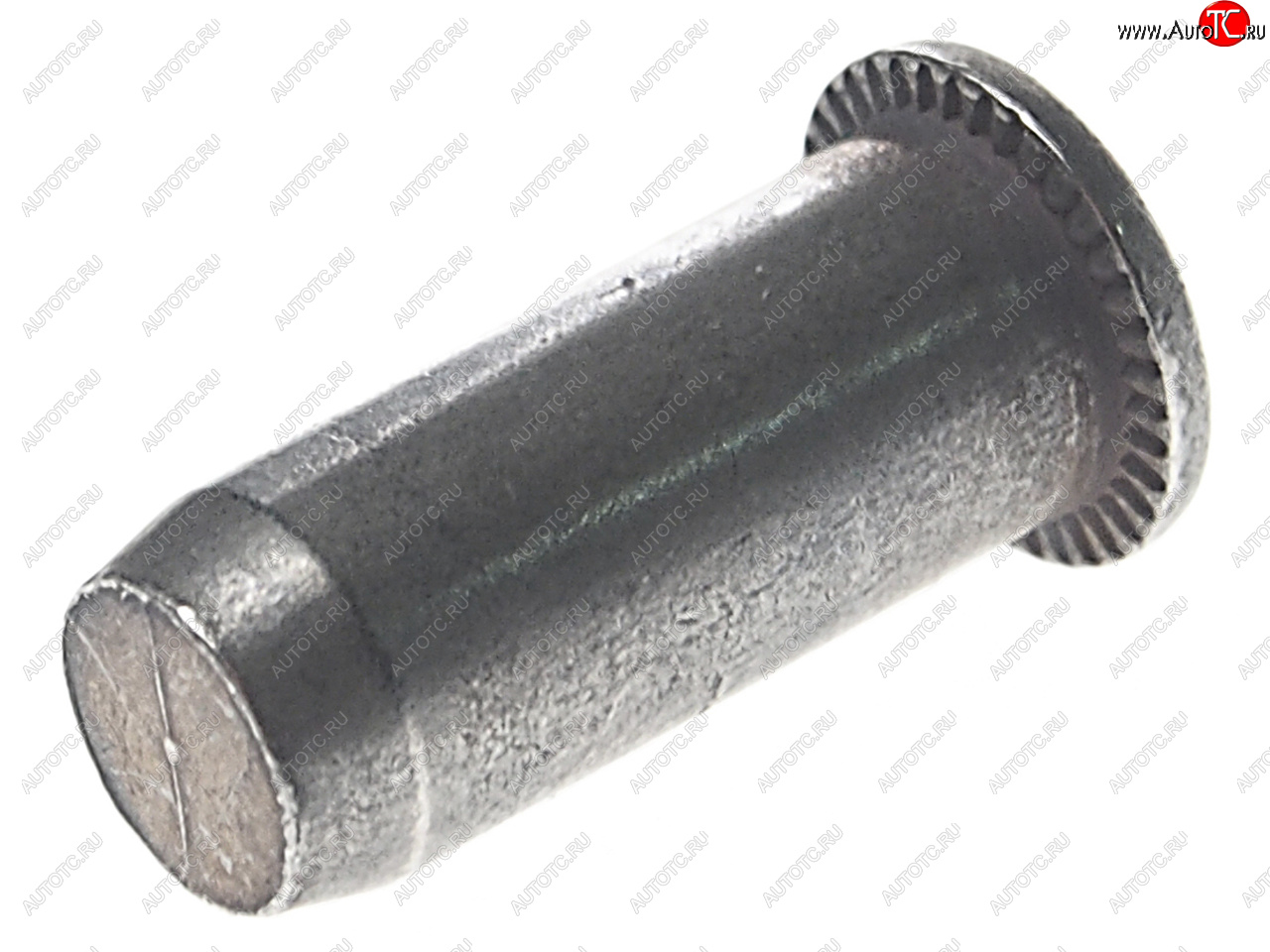 83 р. Гайка VW AUDI SEAT SKODA OE VAG 6l0809864a  с доставкой в г. Пермь