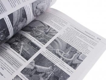 1 239 р. Книга KIA Sportage (15-) чб фото руководство по ремонту серия Я ремонтирую сам МИР АВТОКНИГ МИР АВТОКНИГ мир автокниг (46071)  с доставкой в г. Пермь. Увеличить фотографию 2