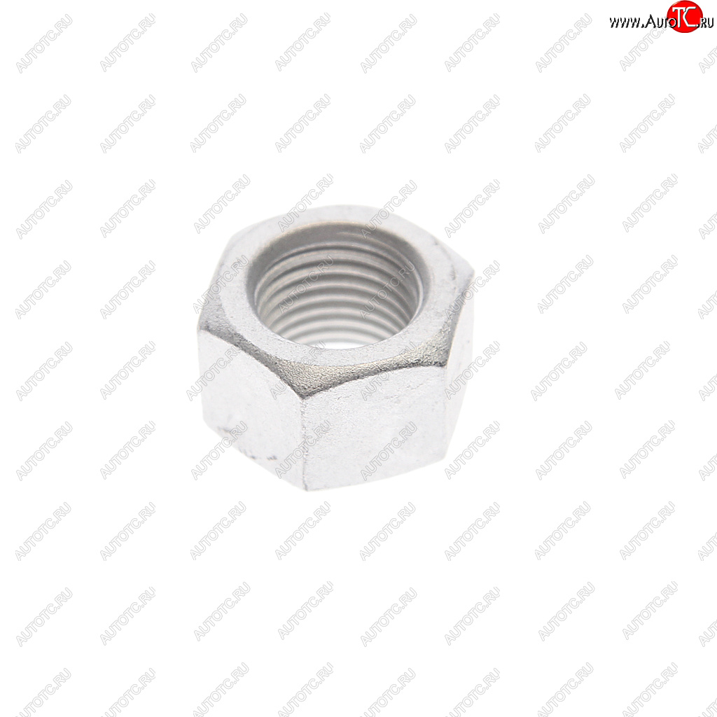 164 р. Гайка VW AUDI SEAT SKODA PATRON PATRON pblt031  с доставкой в г. Пермь