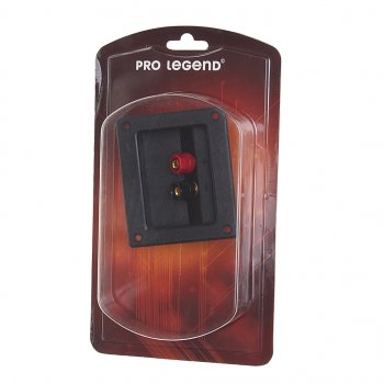239 р. Терминал аудио PRO LEGEND PRO LEGEND pl2353  с доставкой в г. Пермь. Увеличить фотографию 1