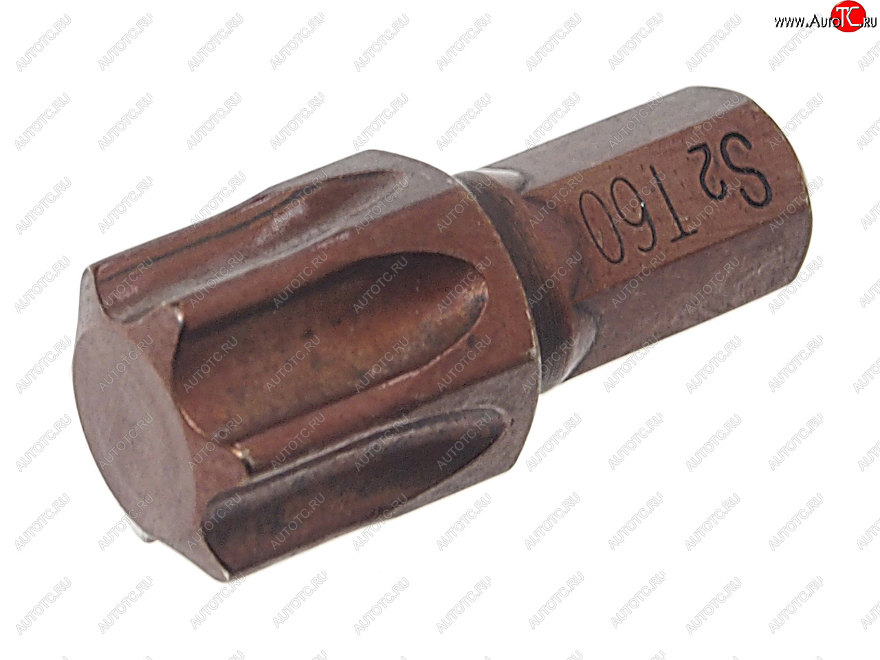 97 р. Бита TORX T60х30мм 5/16 ROCKFORCE ROCKFORCE rf-1563060pr ROCKFORCE rf-1563060pr  с доставкой в г. Пермь