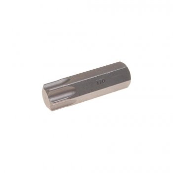 198 р. Бита TORX Т70Hх50мм 14мм ROCKFORCE ROCKFORCE rf-1965070  с доставкой в г. Пермь. Увеличить фотографию 1