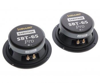 3 999 р. Колонки-мидбас 6 (16см) 125Вт SWAT SWAT sbt-65pro SWAT sbt-65pro  с доставкой в г. Пермь. Увеличить фотографию 2