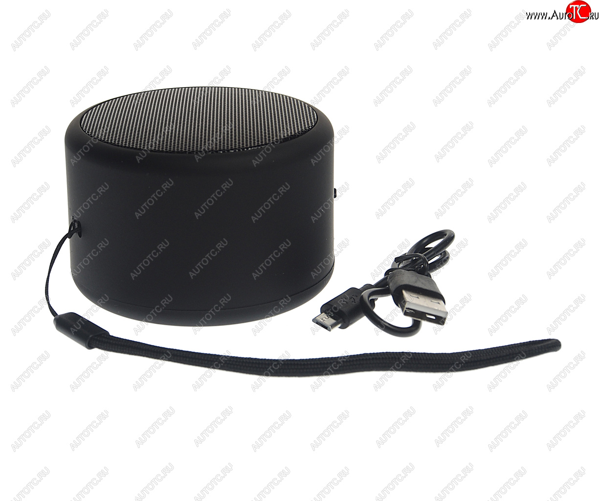 849 р. Колонка беспроводная bluetooth Mini TFN TFN tfn-bs01-01bk  с доставкой в г. Пермь