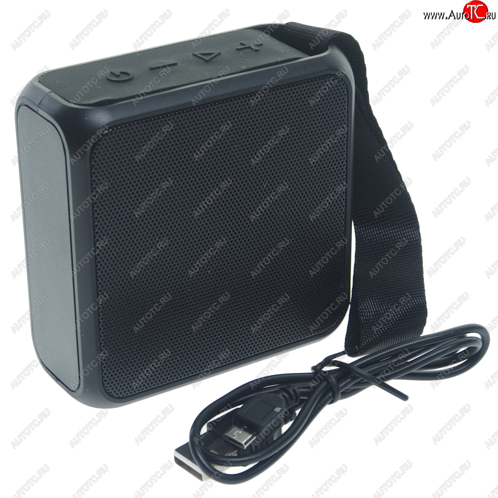 1 079 р. Колонка беспроводная bluetooth TFN TFN tfn-bs03-01bk  с доставкой в г. Пермь