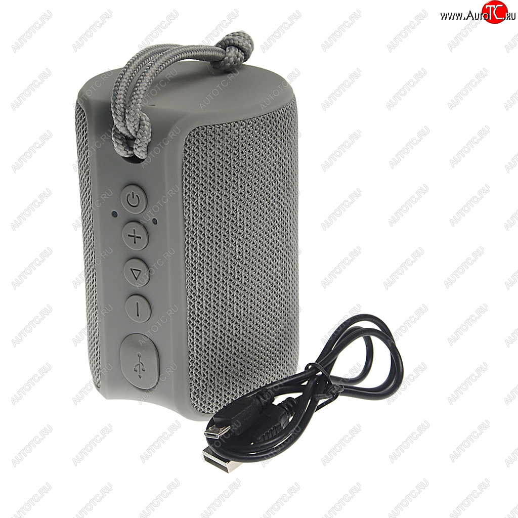 1 699 р. Колонка беспроводная bluetooth Play TFN TFN tfn-bs04-01gr  с доставкой в г. Пермь