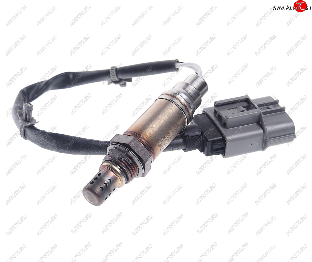 6 999 р. Датчик кислорода NISSAN Maxima BOSCH BOSCH 0258005955 BOSCH 0258005955  с доставкой в г. Пермь