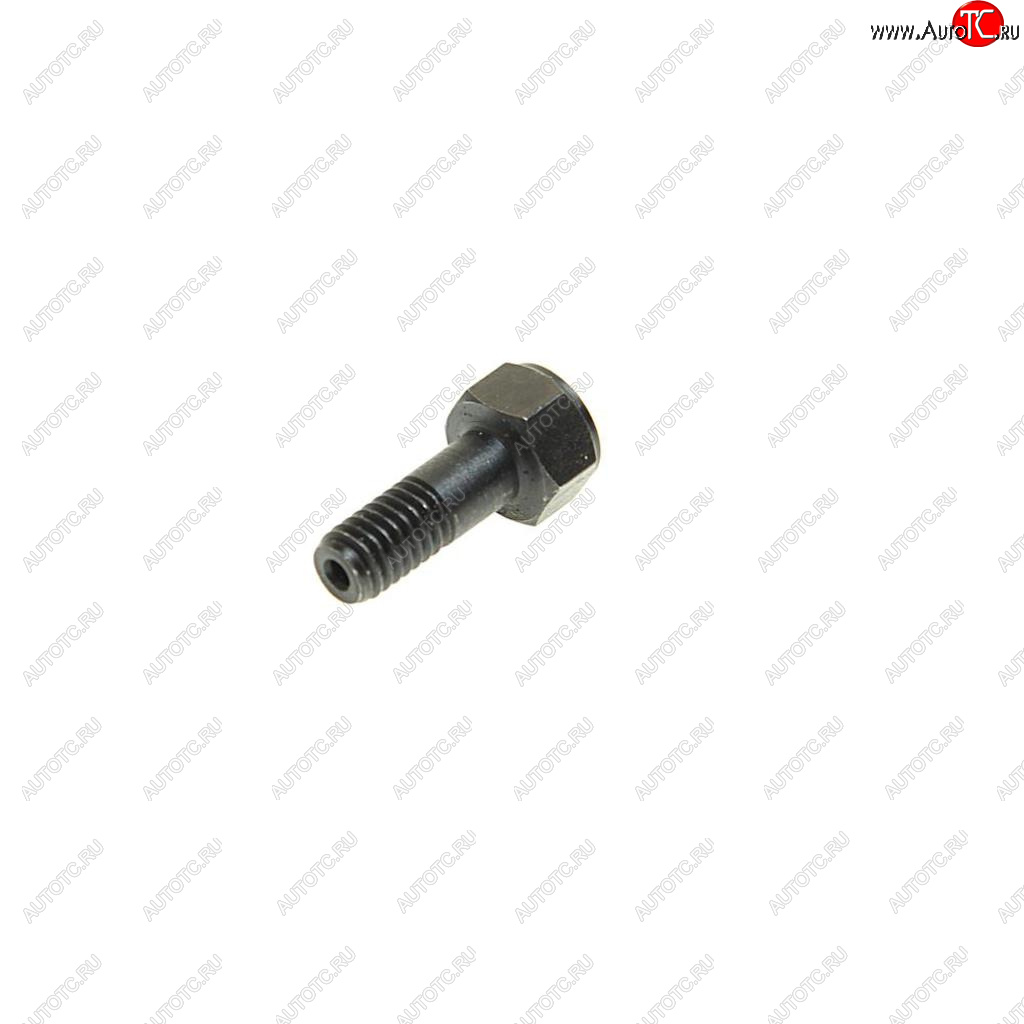106 р. Болт MAN дренажный (обратка) (M6х1) SAMPA SAMPA 021.380  с доставкой в г. Пермь
