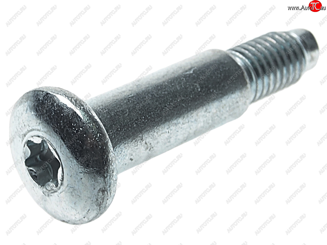 35 р. Болт М8х1.25х47 (ось) петли двери ВАЗ-1118 (ключ TORX) NO NAME 11180-6106020-00 NO NAME 11180-6106020-00  с доставкой в г. Пермь
