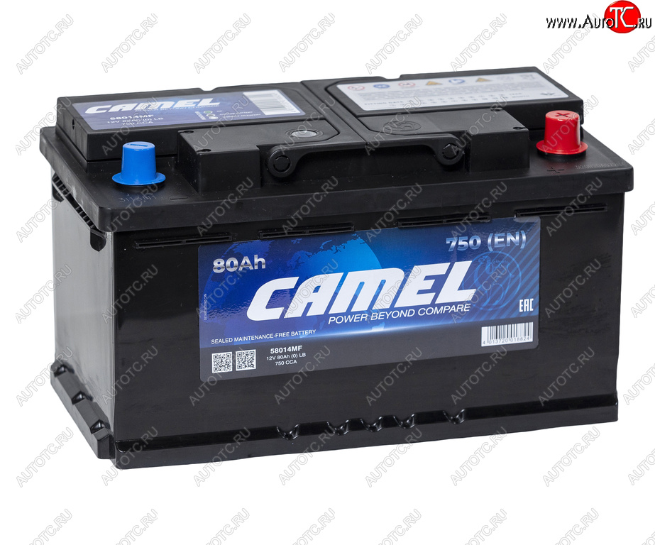 11 949 р. Аккумулятор CAMEL 80Ач обратная полярность, низкий CAMEL 6ст80(0) lb4  с доставкой в г. Пермь