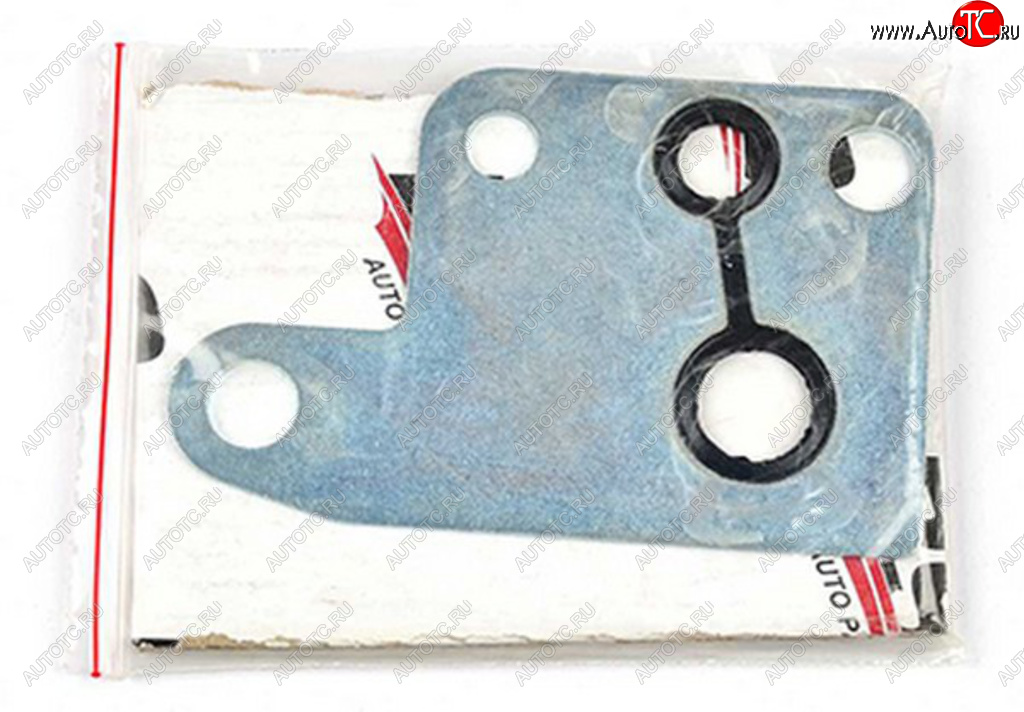 419 р. Прокладка FORD Transit (00-) насоса вакуумного BSG BSG bsg30116086  с доставкой в г. Пермь