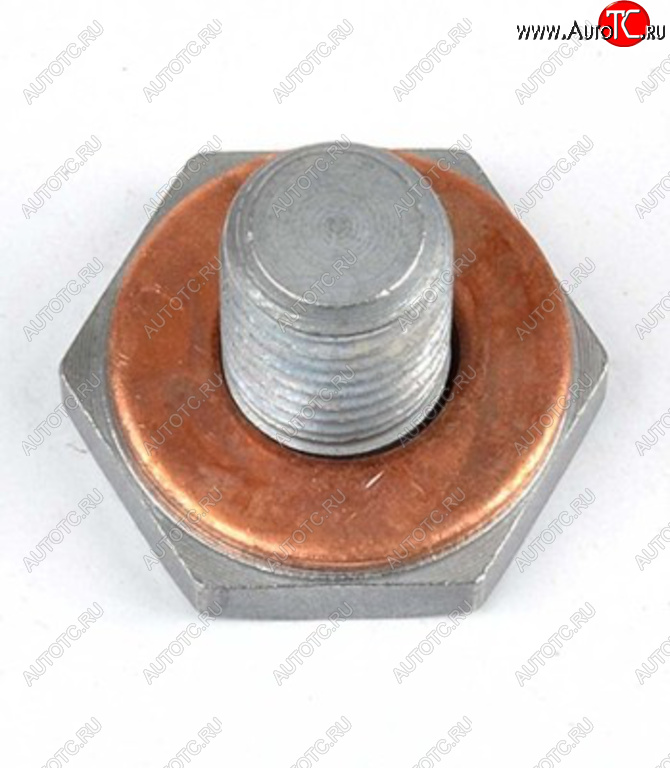 97 р. Пробка сливная FORD (PSA) (02-) (1.41.6 TDCI) поддона BSG BSG bsg30230038  с доставкой в г. Пермь
