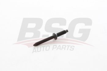 69 р. Шпилька FORD Focus,C-Max (307,308,407,C4) (04-11) (1.6 TDCI) крепления форсунки BSG BSG bsg30230053  с доставкой в г. Пермь. Увеличить фотографию 1