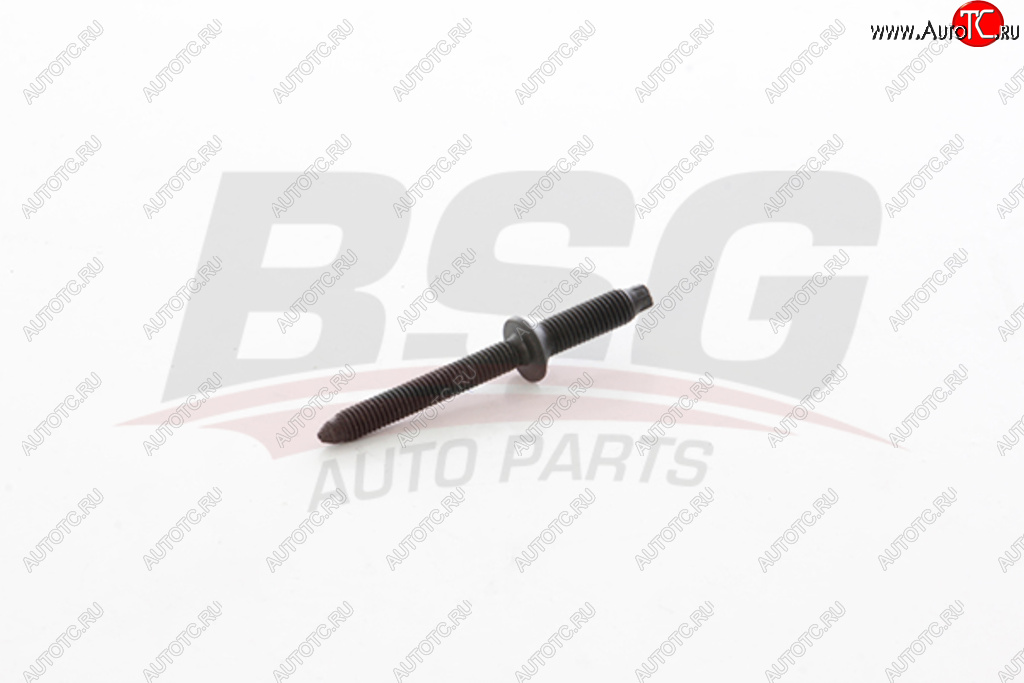 69 р. Шпилька FORD Focus,C-Max (307,308,407,C4) (04-11) (1.6 TDCI) крепления форсунки BSG BSG bsg30230053  с доставкой в г. Пермь