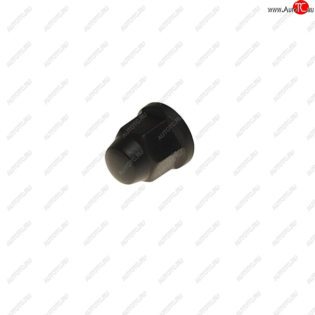 17 р. Колпачок FORD болта колесного BSG BSG bsg30230029  с доставкой в г. Пермь