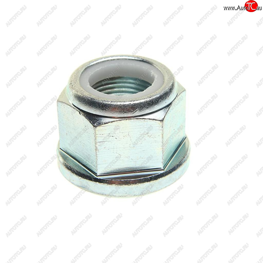 329 р. Гайка MAN стремянки (M27x2) SAMPA SAMPA 020.145  с доставкой в г. Пермь