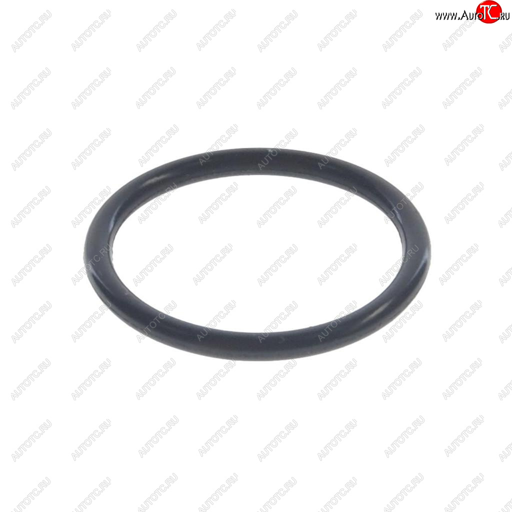 499 р. Кольцо уплотнительное ТНВД BOSCH BOSCH 2430210088  с доставкой в г. Пермь