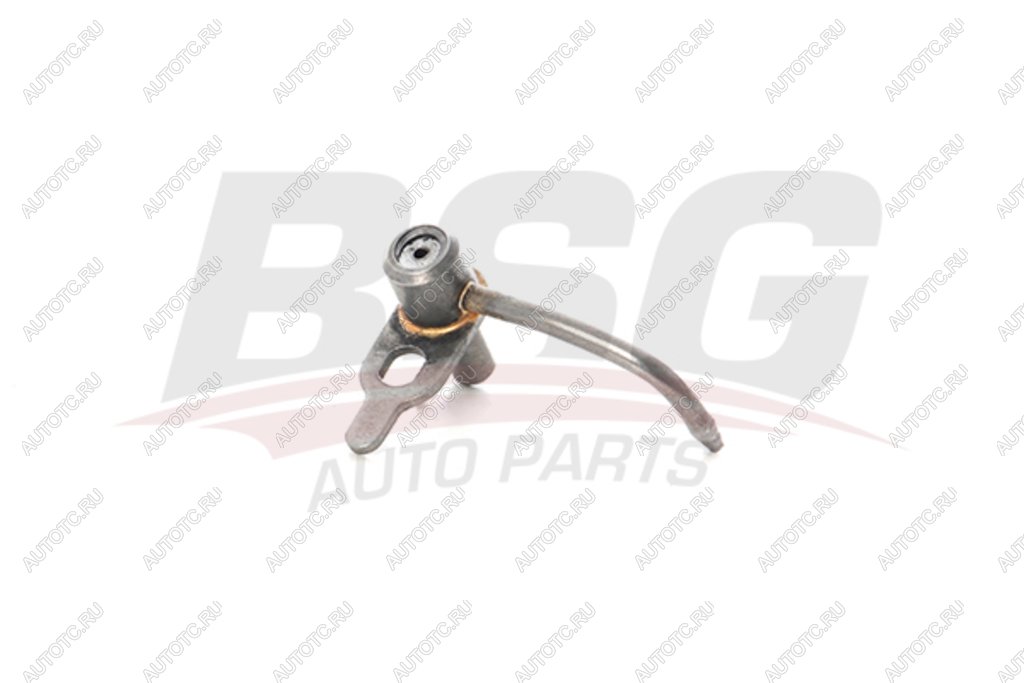 899 р. Форсунка FORD Transit (00-) масляная BSG BSG bsg30122034  с доставкой в г. Пермь