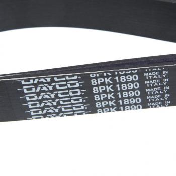 2 669 р. Ремень приводной поликлиновой 8PK1890HD DAYCO DAYCO 8pk1890hd  с доставкой в г. Пермь. Увеличить фотографию 2
