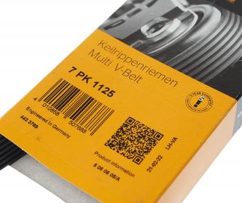 2 049 р. Ремень приводной поликлиновой 7PK1125 RENAULT Megane (08-) CONTITECH CONTITECH 7pk1125  с доставкой в г. Пермь. Увеличить фотографию 2