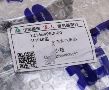 1 429 р. Эмблема SITRAK капота (хромированный логотип) OE SITRAK yz1664952000  с доставкой в г. Пермь. Увеличить фотографию 4