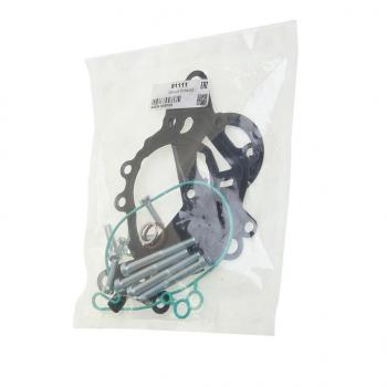 4 199 р. Прокладка VW Bora,Golf,Jetta AUDI A3,A4,A6 SKODA Fabia,Octavia насоса вакуумного комплект MEAT&DORIA MEAT&DORIA 91111  с доставкой в г. Пермь. Увеличить фотографию 1