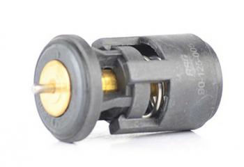 Термостат VW Bora,Golf,Passat AUDI A4,A6 SKODA Fabia,Octavia BSG BSG bsg90125005