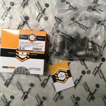 129 р. Колпачок маслосъемный выпускной (С ЮБКОЙ) WAYTEKO PREMIUM 612600040115 WAYTEKO PREMIUM 612600040115  с доставкой в г. Пермь. Увеличить фотографию 1