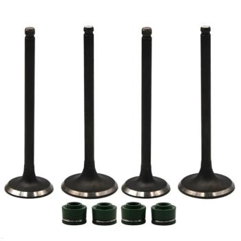 Комплект клапанов c маслосъемными колпачками AHL Yamaha TTR250  пм-00030760