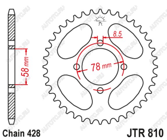 1 699 р. Звезда цепного привода JTR810 43  jtr810.43  с доставкой в г. Пермь