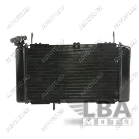 10 529 р. Радиатор для Suzuki SV650 99-02  пм-00000931  с доставкой в г. Пермь