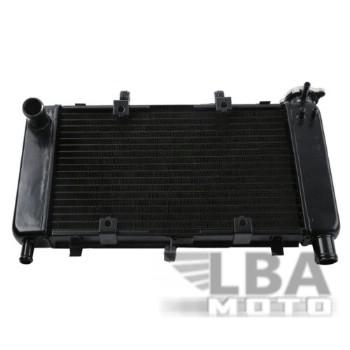 Радиатор для Yamaha FZ6, FZ6N, FZ6-N, FZ6S  04-10  пм-00000940