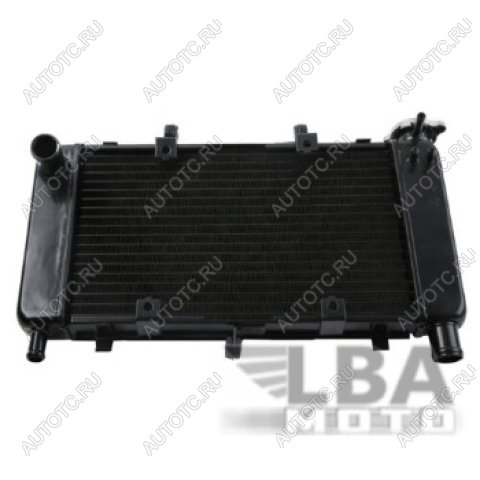 10 639 р. Радиатор для Yamaha FZ6, FZ6N, FZ6-N, FZ6S  04-10  пм-00000940  с доставкой в г. Пермь