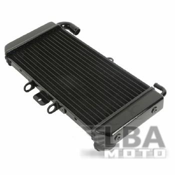 10 529 р. Радиатор для Yamaha FZS600 98-03  пм-00000942  с доставкой в г. Пермь. Увеличить фотографию 2