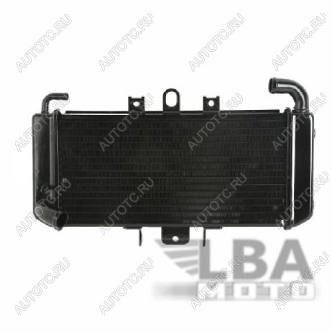 10 529 р. Радиатор для Yamaha FZS600 98-03  пм-00000942  с доставкой в г. Пермь