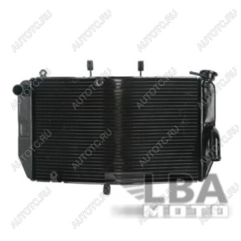 11 709 р. Радиатор для Honda CBR600RR 03-06  пм-00000944  с доставкой в г. Пермь
