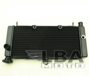 10 999 р. Радиатор для Honda CB600F 98-05 (Hornet), CB600F 00-03 (Hornet S)  пм-00000958  с доставкой в г. Пермь. Увеличить фотографию 1