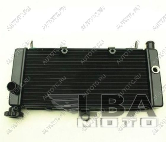 10 999 р. Радиатор для Honda CB600F 98-05 (Hornet), CB600F 00-03 (Hornet S)  пм-00000958  с доставкой в г. Пермь