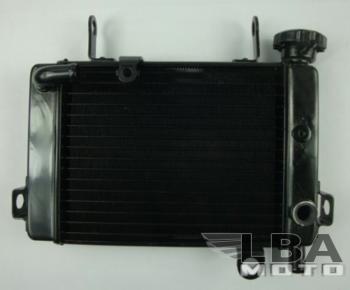 Радиатор для Honda CBR125 04-10  пм-00000961