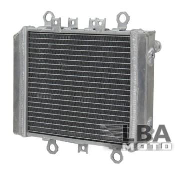 Радиатор для Kawasaki ER-5 ER500 97-06  пм-00000964