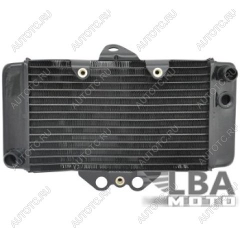 8 849 р. Радиатор для Honda VTR250 97-08  пм-00003639  с доставкой в г. Пермь