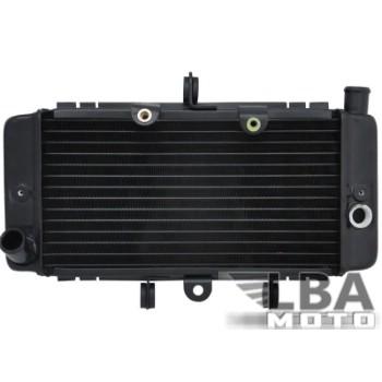 Радиатор для Honda JADE250  пм-00003640