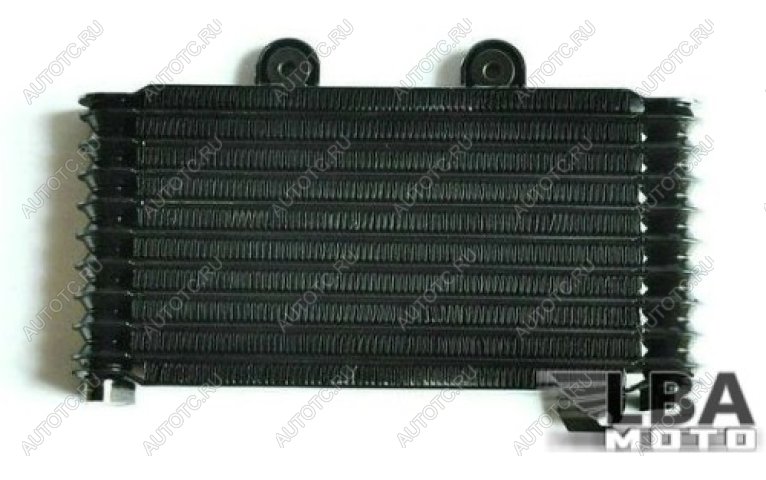 11 759 р. Радиатор масляный для Suzuki GSF600 95-99  пм-00003652  с доставкой в г. Пермь