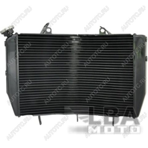 10 919 р. Радиатор для Yamaha YZF-R6 06-07  пм-00003661  с доставкой в г. Пермь