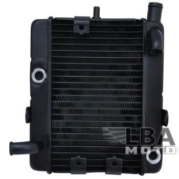 Радиатор для Yamaha YP250  пм-00003663