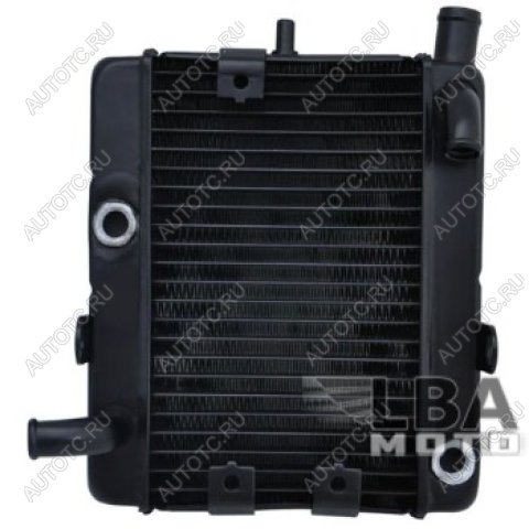 17 449 р. Радиатор для Yamaha YP250  пм-00003663  с доставкой в г. Пермь