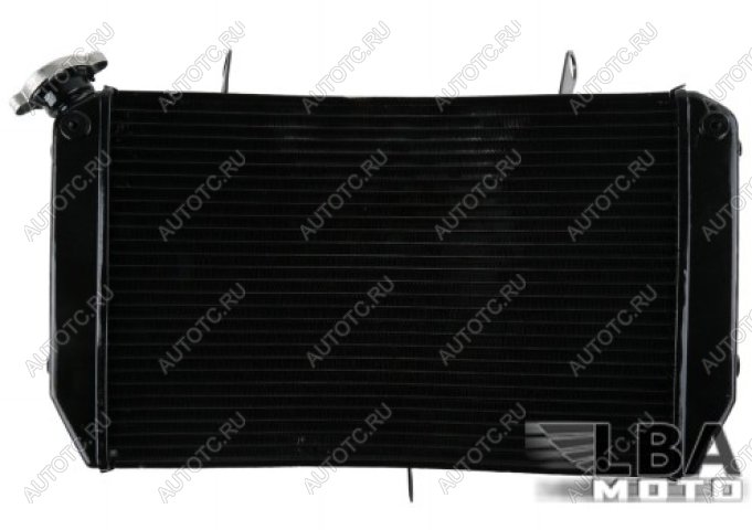 12 559 р. Радиатор для Yamaha FZ1 06-13, FZ1-N 06-12, FZ1-S 06-13, FZ8-N 11-13, FZ8-S 11-13  пм-00003665  с доставкой в г. Пермь