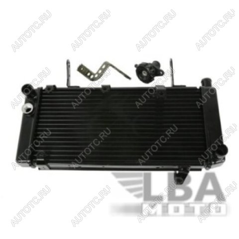 11 809 р. Радиатор для Suzuki SV1000 03-07  пм-00002449  с доставкой в г. Пермь