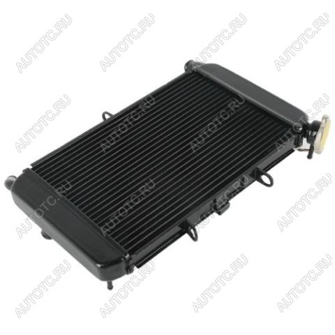 12 359 р. Радиатор для Yamaha XJ6 09-15  пм-00019451  с доставкой в г. Пермь